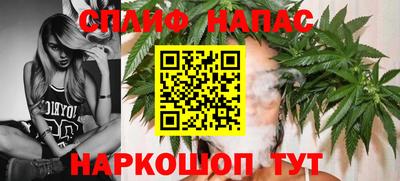 эйфоретик Малгобек